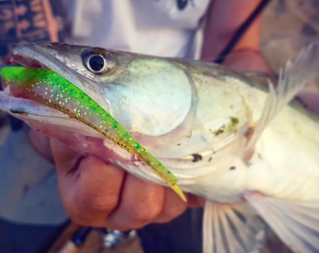 Lunker City Fin-S Fish 10 cm